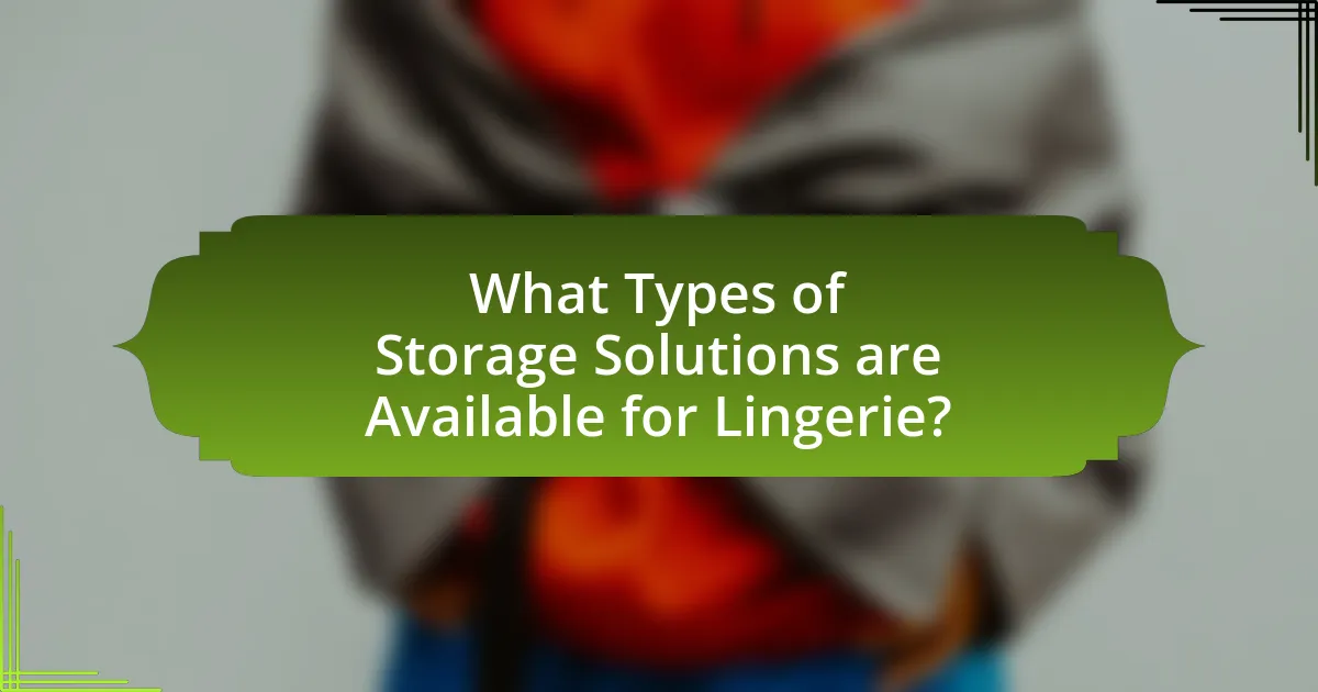 What Types of Storage Solutions are Available for Lingerie?