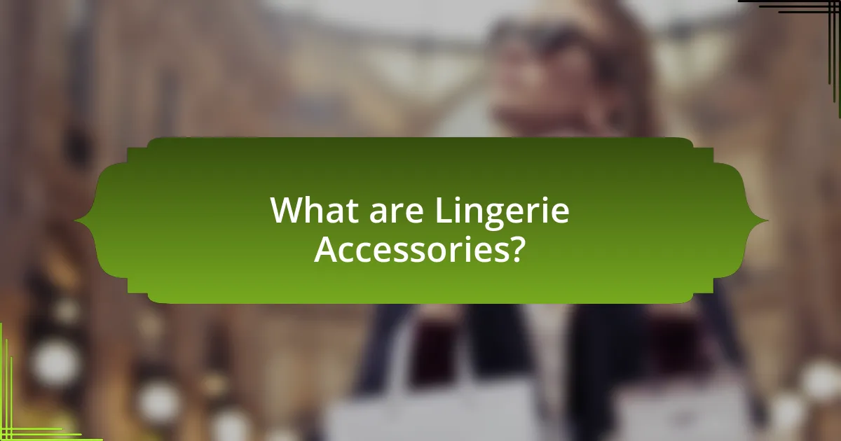 What are Lingerie Accessories?