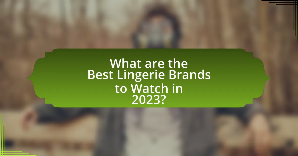 What are the Best Lingerie Brands to Watch in 2023?
