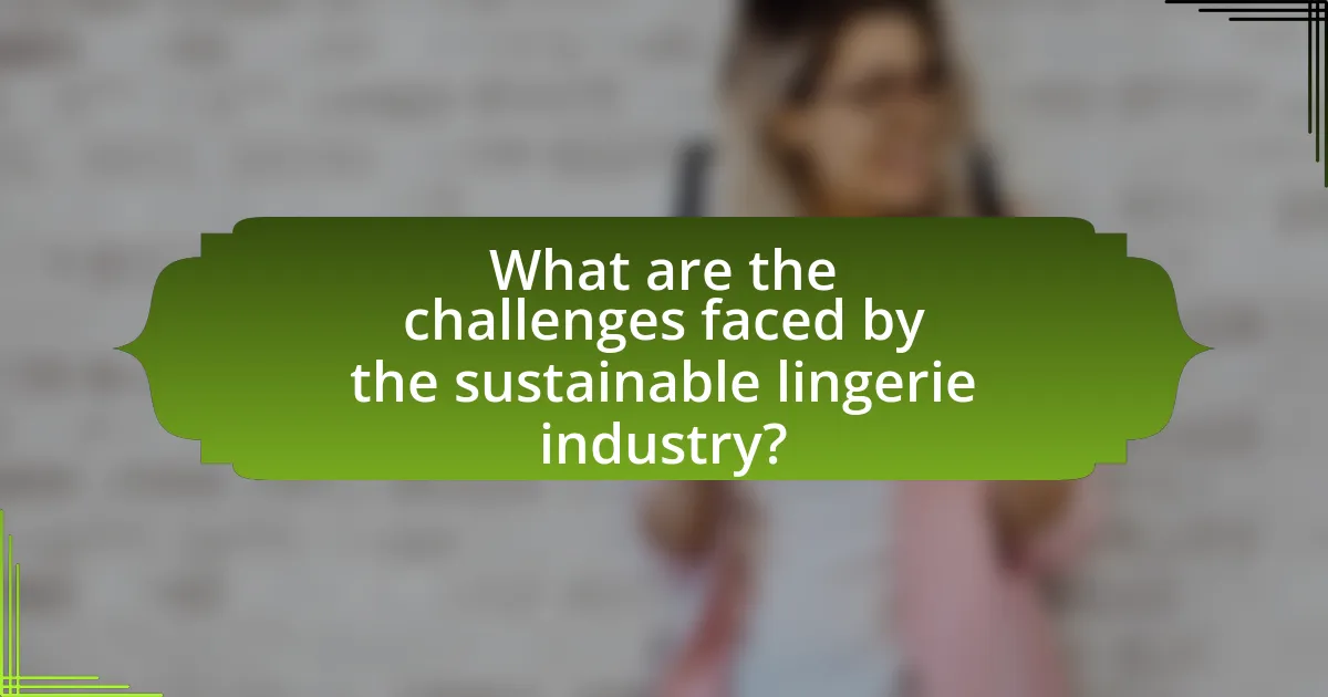 What are the challenges faced by the sustainable lingerie industry?