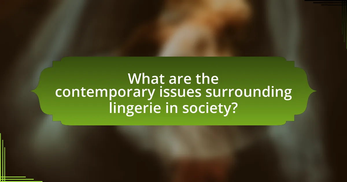 What are the contemporary issues surrounding lingerie in society?
