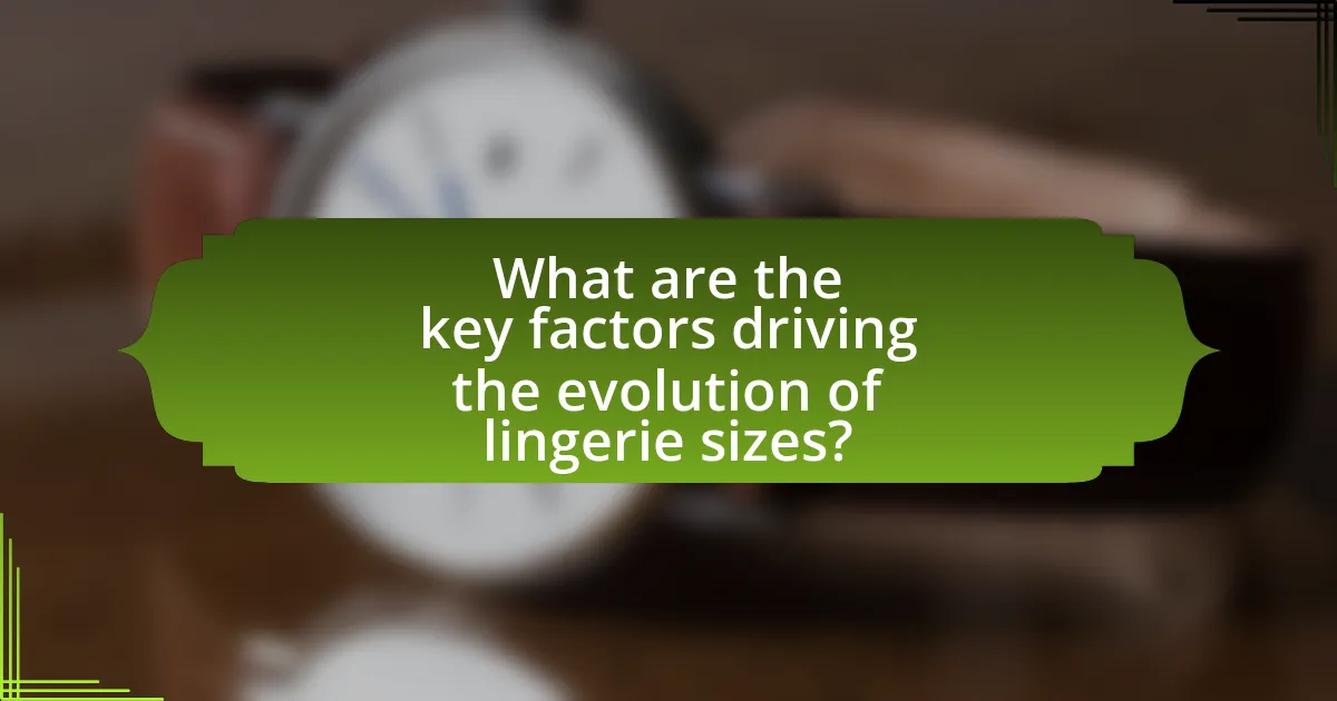 What are the key factors driving the evolution of lingerie sizes?