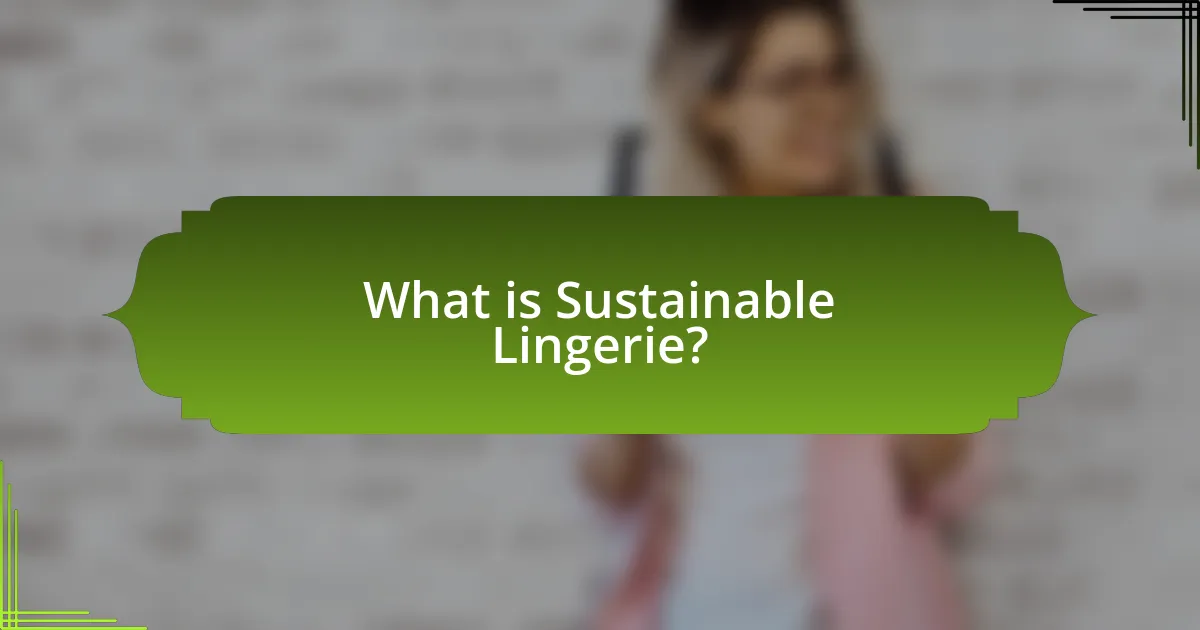 What is Sustainable Lingerie?