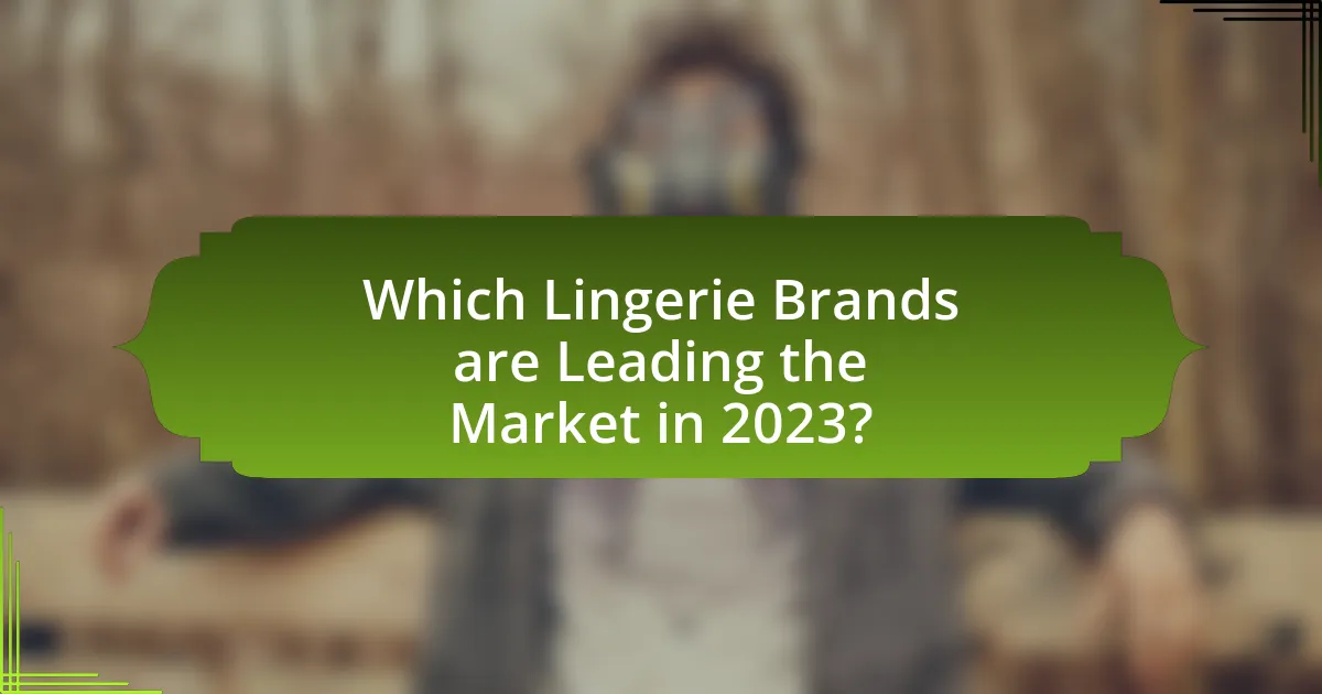Which Lingerie Brands are Leading the Market in 2023?